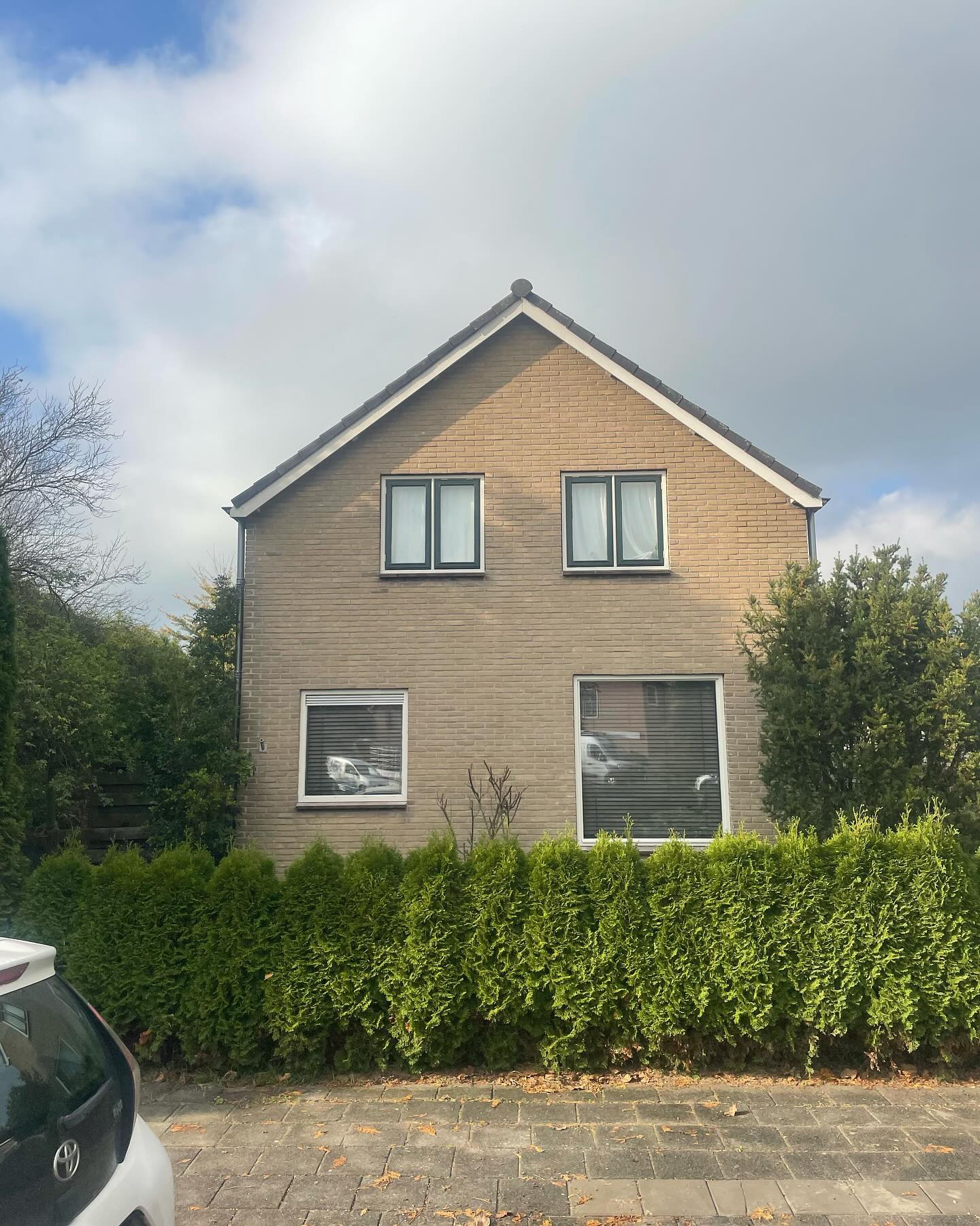 Vrijstaand huis met gele bakstenen puntgevel achter een haag